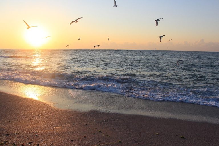 July Morning in Bulgaria – A Tradition Worth Waking Up Early For